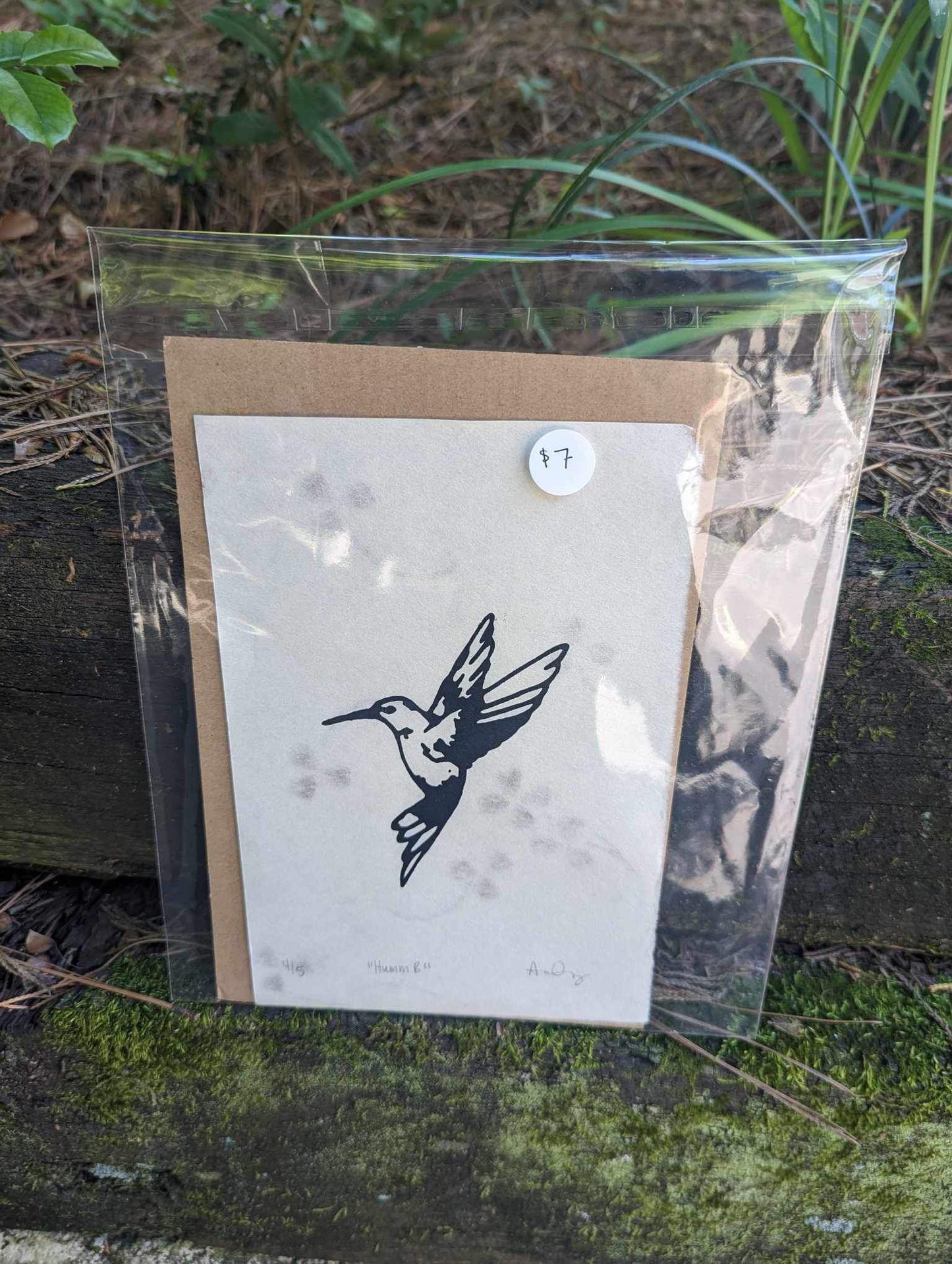 Hummingbird 5x7 Print