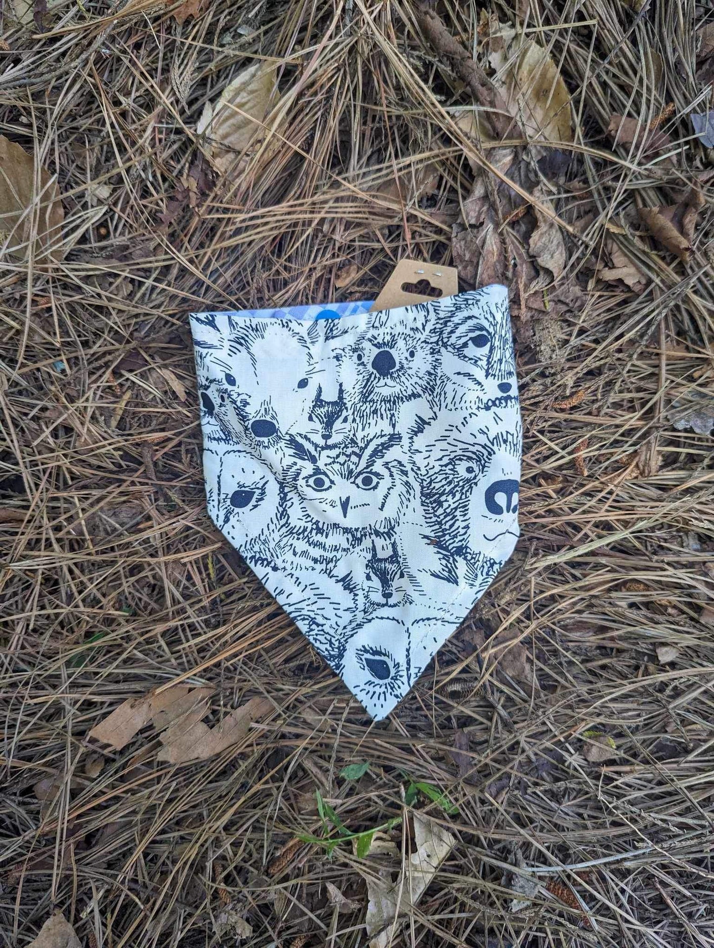 12.5’ Bandana