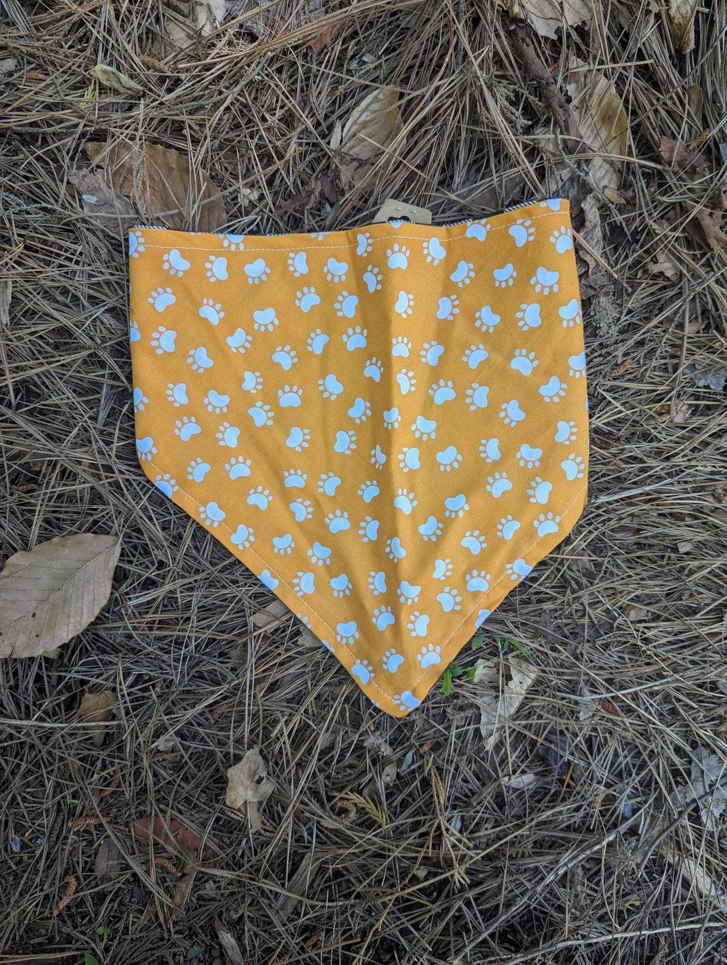 21’ Bandana